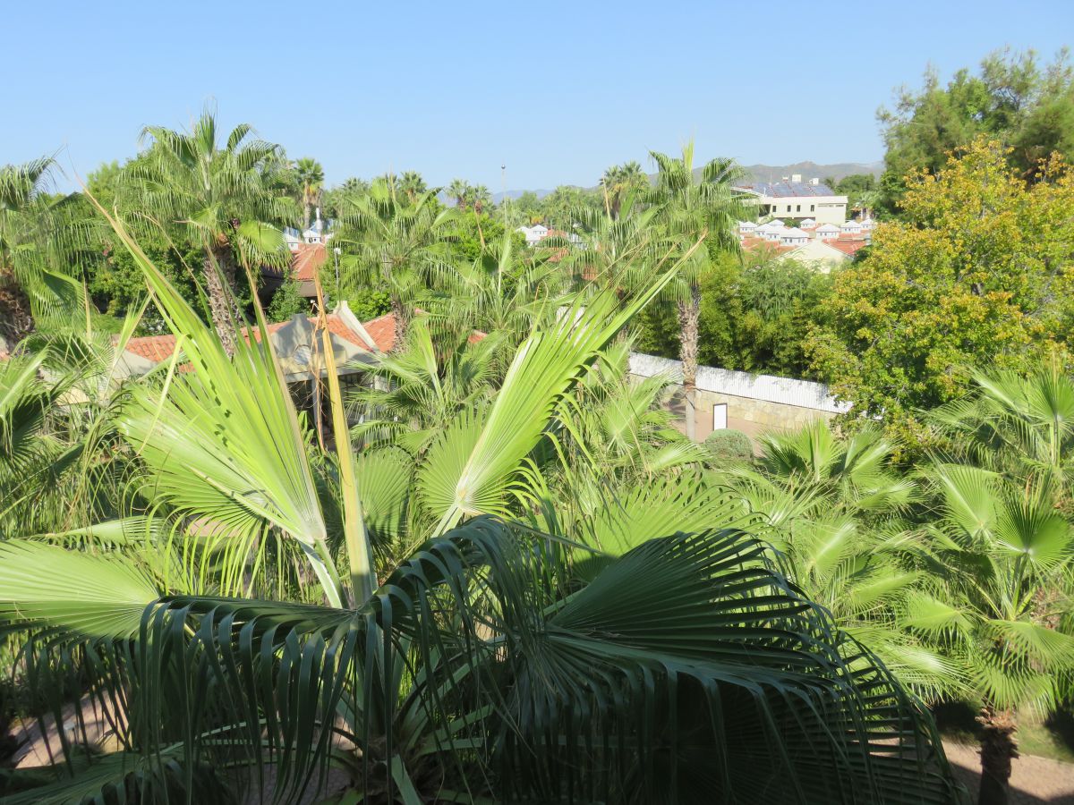 imagini hotel CLUB TUANA